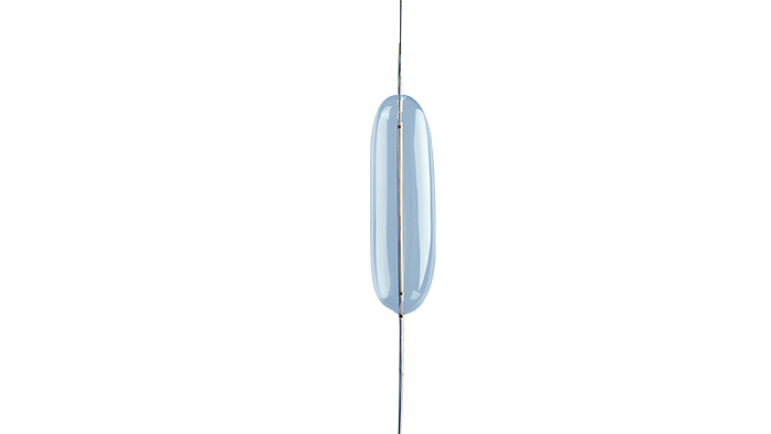 Bridge Occlusion Balloon