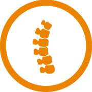 Spine suite logo