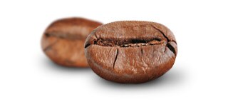 Robusta kafija