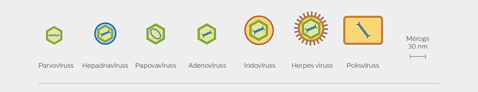 dns vīrusa veidi