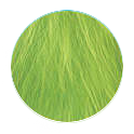 full-green-sticker