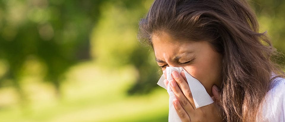 Alergēni mājās — ziedputekšņu veidi, un kad tie rodas