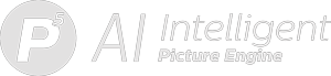 Picture Engine logotips