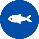 Zivs ikona